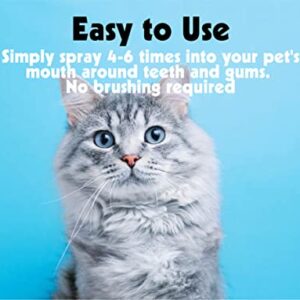 Petkin Plaque Spray, Cool Mint, 4 Fl Oz – Cleans Teeth & Gums, Removes Plaque & Tartar, Freshens Breath & Whitens Teeth with Baking Soda - Ideal Cat & Dog Dental Spray with No Brushing or Rinsing