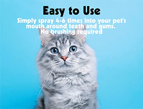 Petkin Plaque Spray, Cool Mint, 4 Fl Oz – Cleans Teeth & Gums, Removes Plaque & Tartar, Freshens Breath & Whitens Teeth with Baking Soda - Ideal Cat & Dog Dental Spray with No Brushing or Rinsing