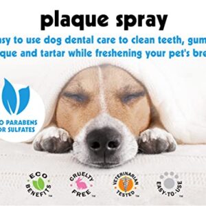 Petkin Plaque Spray, Cool Mint, 4 Fl Oz – Cleans Teeth & Gums, Removes Plaque & Tartar, Freshens Breath & Whitens Teeth with Baking Soda - Ideal Cat & Dog Dental Spray with No Brushing or Rinsing