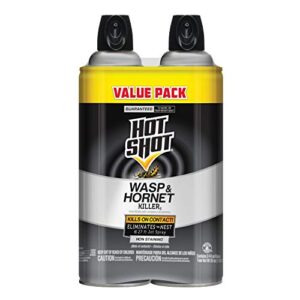 hot shot wasp & hornet killer spray (2 pack), eliminates the nest, sprays up tp 27 feet, for insects, 17.5 fl ounce