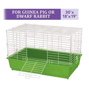 Kaytee My First Home Habitat for Pet Guinea Pigs or Dwarf Rabbits, Large