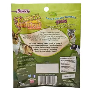 F.M. Brown's Tropical Carnival, Natural Sweet Potato Yummies with Vitamin C, Nutritious Treat for Rabbits, Guinea Pigs, Chinchillas and Other Small Animals, 3.5 oz