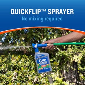 Cutter Backyard Bug Control Spray Concentrate (6 Pack), Kills Mosquitoes, Fleas & Listed Ants, 32 fl Ounce
