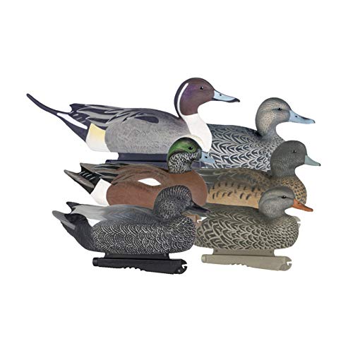 Avery Life-Size Duck Puddler Pack (1/2 Dozen)