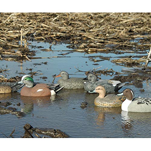 Avery Life-Size Duck Puddler Pack (1/2 Dozen)