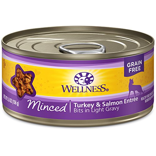 Wellness Complete Health Natural Grain Free Wet Canned Cat Food, Minced Turkey & Salmon Entree, 5.5-Ounce Can (Pack of 24)