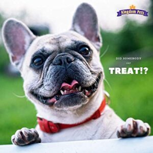 Kingdom Pets Filler Free Duck Jerky & Sweet Potato Twists, Premium Treats for Dogs, 48-Ounce Bag