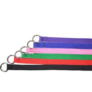 Downtown Pet Supply Slip Lead Dog Leash 6 Pack, 4' x 1/2" - Universal Dog Slip Leash with Metal O Ring - Machine Washable Dog Slip Lead for Groomers, Shelters, Rescues, Vets, or Doggy Daycares