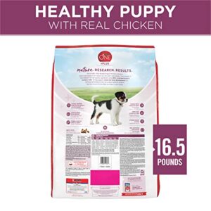 Purina ONE Plus Healthy Puppy Formula High Protein Natural Dry Puppy Food with added vitamins, minerals and nutrients - 16.5 lb. Bag