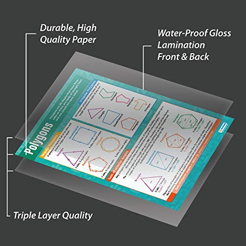 Daydream Education Polygons Math Poster - Laminated - Large Format 33” x 23.5” - Classroom Decoration - Bulletin Banner Charts