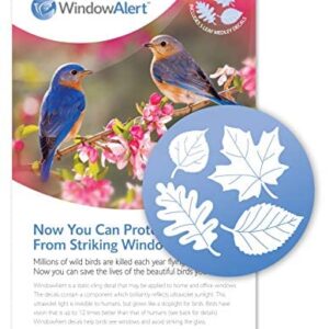 WindowAlert Leaf Medley Anti-Collision Decal - UV-Reflective Window Decal to Protect Wild Birds from Glass Collisions - Made in The USA