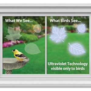 WindowAlert Leaf Medley Anti-Collision Decal - UV-Reflective Window Decal to Protect Wild Birds from Glass Collisions - Made in The USA