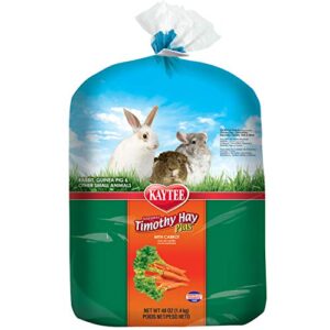 kaytee timothy hay plus, carrot, 48-ounce, standard packaging