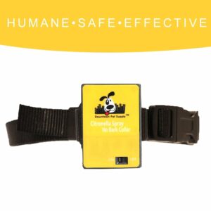 Downtown Pet Supply - Citronella Dog Collar - Humane No Bark Collar Set with Citronella Spray - No-Shock - Collar, Spray Device, Citronella Spray Refill, Battery & Manual - 1 Pack