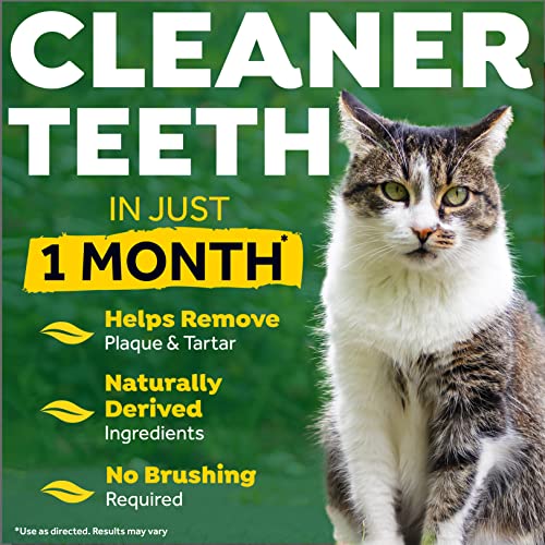 TropiClean Fresh Breath for Cats | No Brush Dental Gel for Cats | Cat Breath Freshener Toothpaste for Plaque, Tartar & Stinky Breath | Made in the USA | 2 oz.