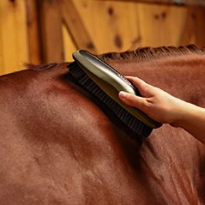 WAHL Professional Animal Equine Grooming Stiff Body Horse Brush, Black (858705)
