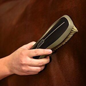 WAHL Professional Animal Equine Soft Body Horse Brush, Black (858704)