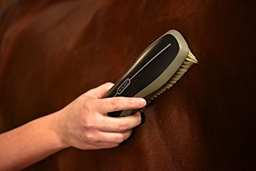 WAHL Professional Animal Equine Soft Body Horse Brush, Black (858704)