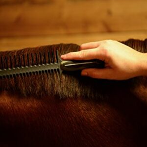 WAHL Professional Animal Equine Grooming Mane and Braiding Horse Comb, Black (858708)