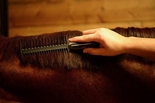 WAHL Professional Animal Equine Grooming Mane and Braiding Horse Comb, Black (858708)