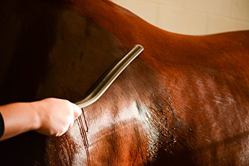 WAHL Professional Animal Equine Grooming Sweat Scraper Horse Tool, Black (858713)