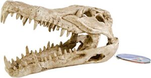penn-plax rr1065 crocodile skull animal resin ornament for fish tanks 9l x 4w x 5.5h"