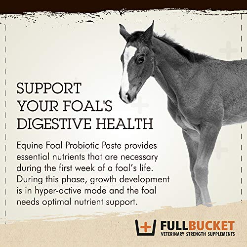 FullBucket Foal Probiotic Paste (Single)