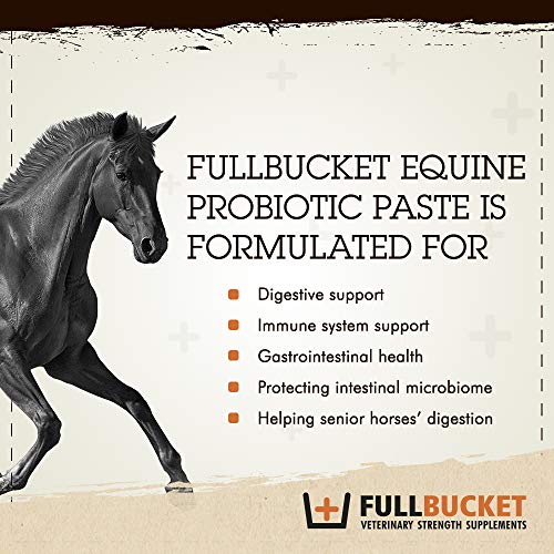 FullBucket Equine Probiotic Paste with Saccharomyces Cerevisiae Boulardii for Daily Digestive Optimization; Concentrated Formula with 100 Billion CFUs, 1 Tube