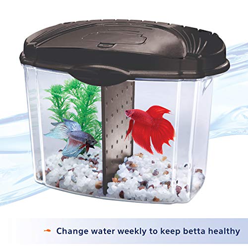 Aqueon Betta Bowl Aquarium Fish Tank Kit, Black, Half Gallon