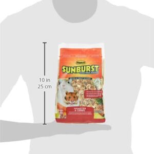 Higgins Sunburst Gourmet Food Mix For Hamsters And Gerbils