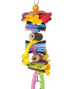 Prevue Hendryx 62507 Tropical Teasers Party Time Bird Toy