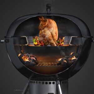 Weber Gourmet Barbeque System Poultry Roaster Insert