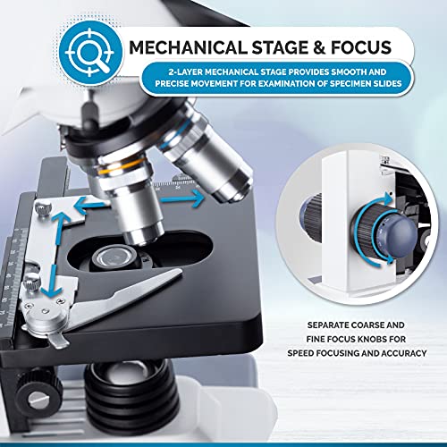 AmScope B120 Siedentopf Binocular Compound Microscope, 40X-1000X Magnification, Brightfield, LED Illumination, Abbe Condenser, Double-Layer Mechanical Stage