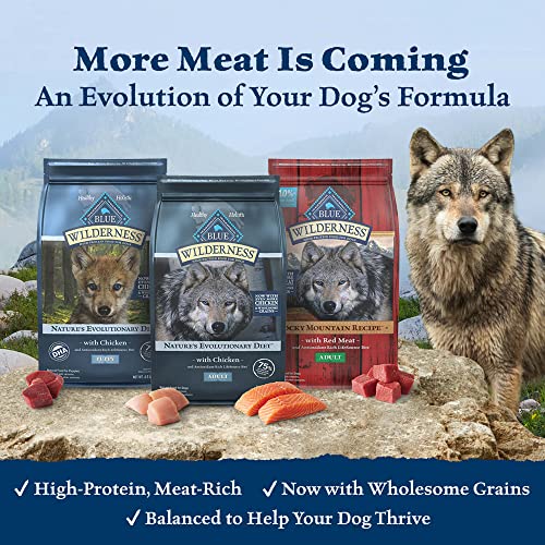 Blue Buffalo Wilderness High Protein, Natural Senior Dry Dog Food, Chicken 24-lb