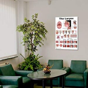 Blue Tree Publishing Larynx LP Poster, voice, education, vocal folds, mouth, head cutview, vocal pathology, size 24Wx36T