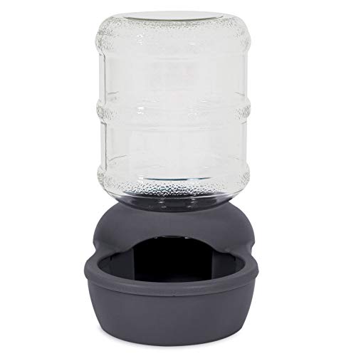 Petmate Aspen Pet Lebistro Cat and Dog Water Dispenser