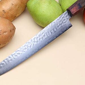 Yoshihiro VG-10 46 Layers Hammered Damascus Sujihiki Japanese Slicer Knife (9.5'' (240mm) Rosewood Handle)