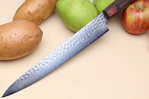 Yoshihiro VG-10 46 Layers Hammered Damascus Sujihiki Japanese Slicer Knife (9.5'' (240mm) Rosewood Handle)