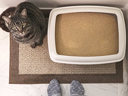 World's Best Cat Litter, Scented Clumping Litter Formula for Multiple Cats, 28-Pounds