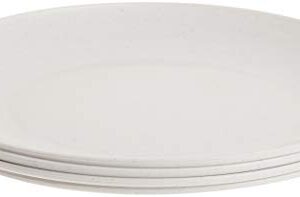 Nordic Ware Polypropylene Plates Microwave Serveware, 10", White