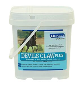 uckele devils claw plus powder horse supplement - equine vitamin & mineral supplement - 5 pound (lb)