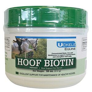 uckele hoof biotin for horses - 18 ounces