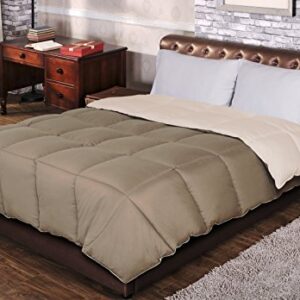 SUPERIOR Reversible Down Alternative Comforter, Medium Weight Bedding for All Season Use, Fluffy, Warm, & Soft- Twin/Twin XL Size, Ivory & Taupe