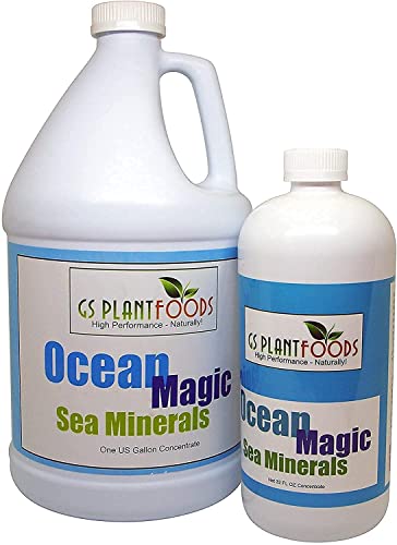 Ocean Magic Sea Minerals, 32 fl. oz.