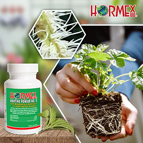 Hormex Rooting Powder #8 - Rooting Hormone for Moderately Difficult to Root Plants - Fast & Easy Way to Clone Plants from Cuttings - Stronger, Healthier Roots Using Cloning Powder - 0.8 IBA