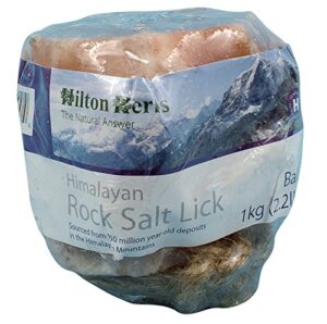 hilton herbs 26000 himalayan salt lick, baby 2.2lb