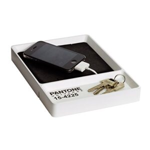 Pantone Key Tray ANTHRACITE-19-4007, us:one Size, Anthracite