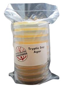 tryptic soy agar (tsa) prepared - 10, 100 millimeter plates