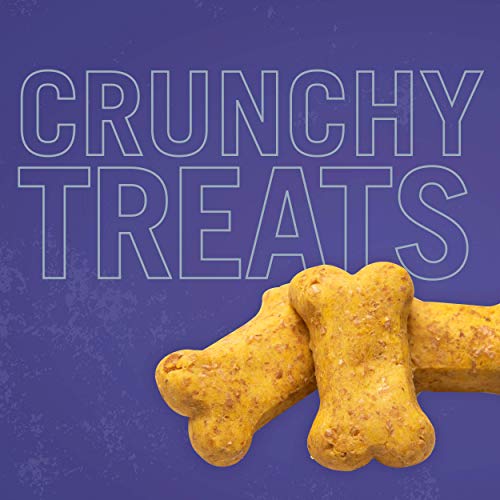 Three Dog Bakery Crunchy Itty Bitty Bones Baked Dog Treats, Cheese, 32 oz