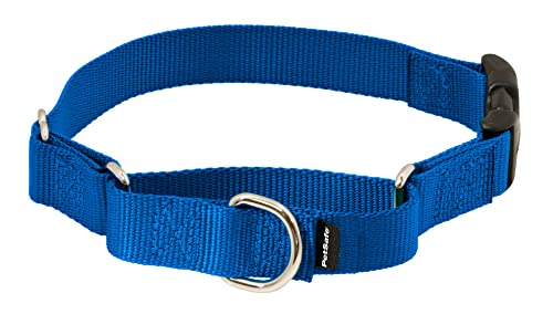 PetSafe Martingale Collar with Quick Snap Buckle, 3/4" Medium, Royal Blue